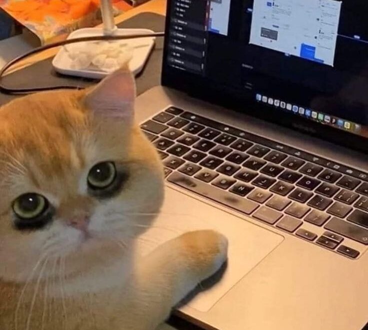 Way too much exams TvT